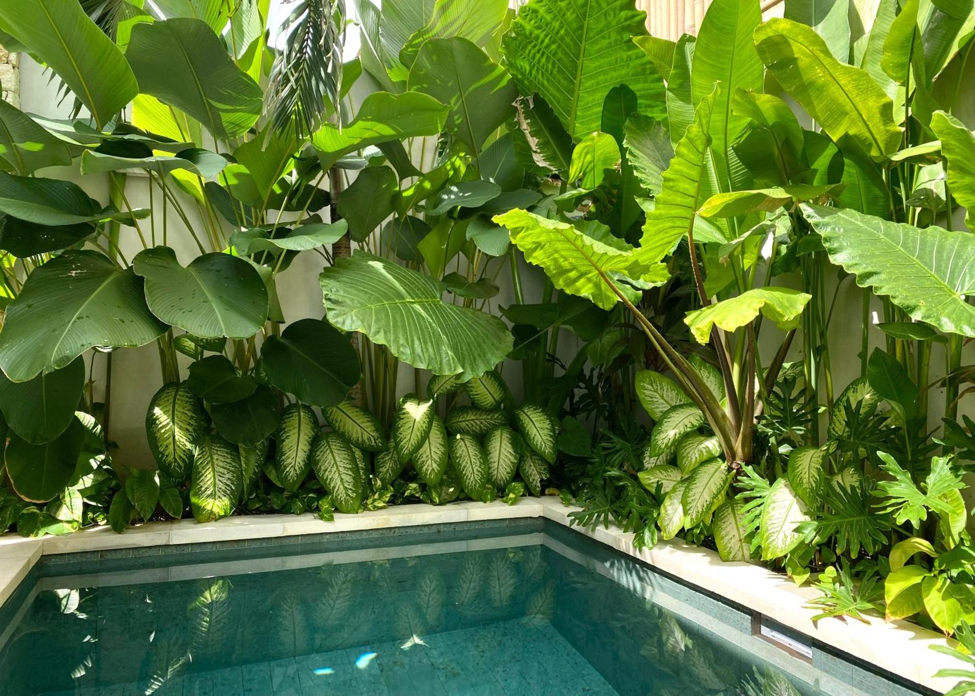 Alma Bingin Boutique Hotel Uluwatu Εξωτερικό φωτογραφία